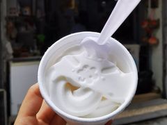 -洪馨椰子