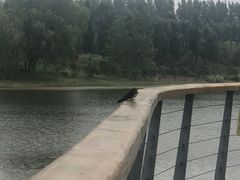 -东郊湿地公园