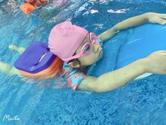 -鲨鱼游泳培训中心