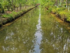 -合肥滨湖国家森林公园