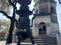 -苏州上方山国家森林公园
