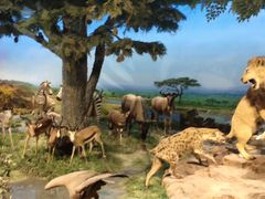 -国家自然博物馆