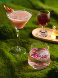 -天河希尔顿酒店·宴会厅