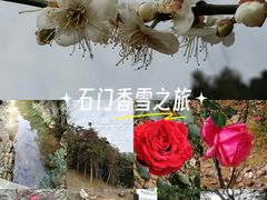 -广州市石门国家森林公园