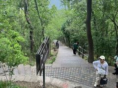 -紫金山山顶公园