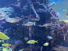 -长隆横琴湾酒店(珠海旗舰店)