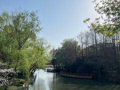 -自然谷恐龙园