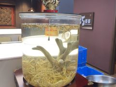 -巧婆婆特色东北菜·铁锅炖