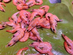 白灼虾-好伦哥比萨烤肉自助(马家堡店)