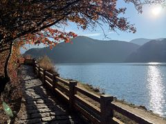 -泸沽湖里格半岛