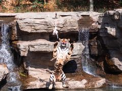 -宁波野生动物园
