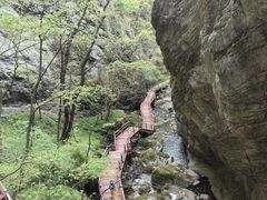 -牛背梁国家森林公园