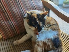 -BUND·FIVE外滩5号(天际店)