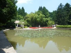 -庐山风景区花径公园