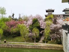 -合肥三国新城遗址公园