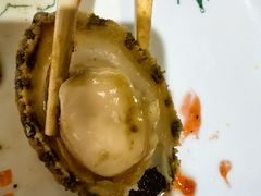 -东来菜馆•手抓海鲜家常菜•海鲜锅贴(鸽子窝店)