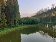 -黄海国家森林公园