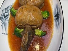 -丁老爷子苏香圆