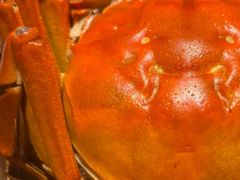 -子福慧(虹桥店)