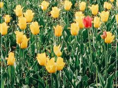 -长春公园(普阳街道)