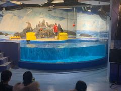 -梦幻海洋王国(吾悦广场张家港店)