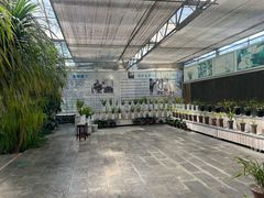 -兰陵国家农业公园