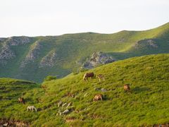 -灵山