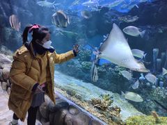 -华夏文旅海洋公园