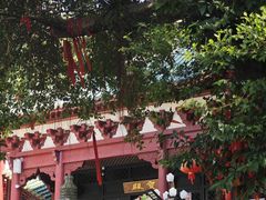 -榴花公园