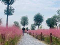 -汉长安城未央宫国家考古遗址公园