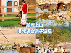 -盈香心动乐园