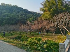 -广州市白云山风景名胜区