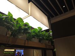 -肯德基(江门万达店)