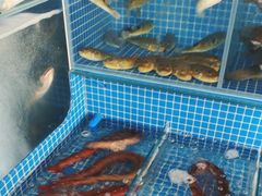 -侠成水上农庄(工业大道店)