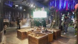 -酷嗒动物文化乐园(cutezoo西溪乐天城店)