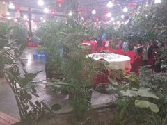 -兴芮温泉度假区