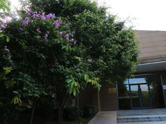 -北京师范大学(珠海校区)