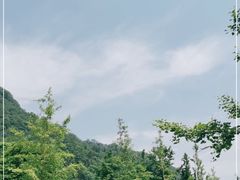 -四川省成都市彭州市白鹿镇