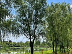 -东郊湿地公园
