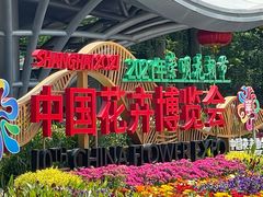 -东平国家森林公园