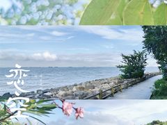 -上海吴淞炮台湾国家湿地公园