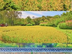 -沉浸北京·团建旅行·密室剧本杀·年会会议轰趴拓展