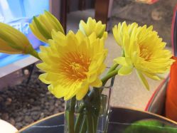 -花隐·美芙炫海菲秀皮肤管理中心