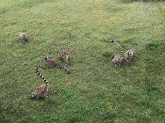 -秦皇岛野生动物园