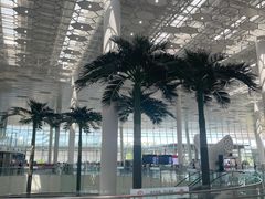 -深圳宝安国际机场