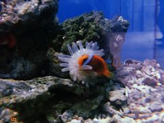 -横店影视城梦幻谷园区