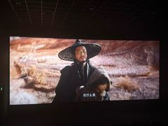 -万达影城(闵行颛桥万达广场杜比影院店)