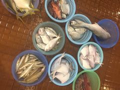 -金水门银河酒楼(新埠岛店)
