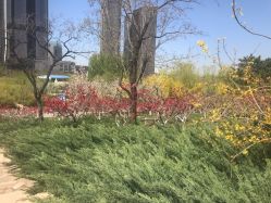 -大望京儿童游乐场