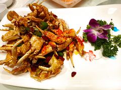 -大东海海鲜酒楼(渔人码头总店)